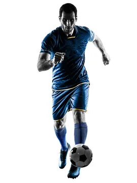 半岛体育 主要标志